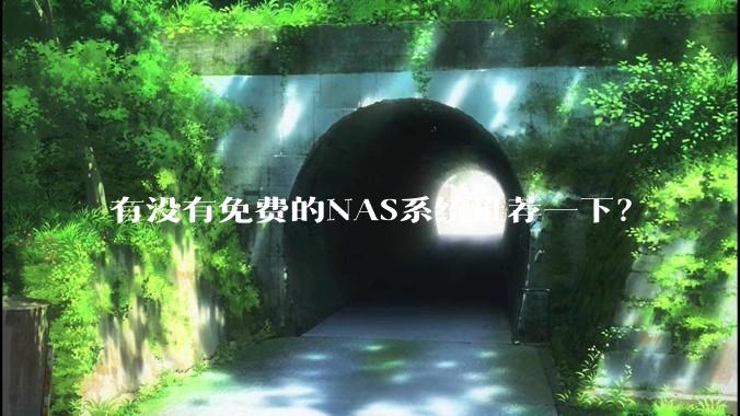 有没有免费的NAS系统推荐一下？