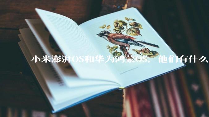 小米澎湃OS和华为鸿蒙OS，他们有什么不一样，谁更有发展前途？